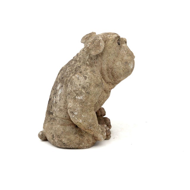 1950s English Bulldog Garden Statue, English Mid 20th C. For Sale - Image 5 of 8