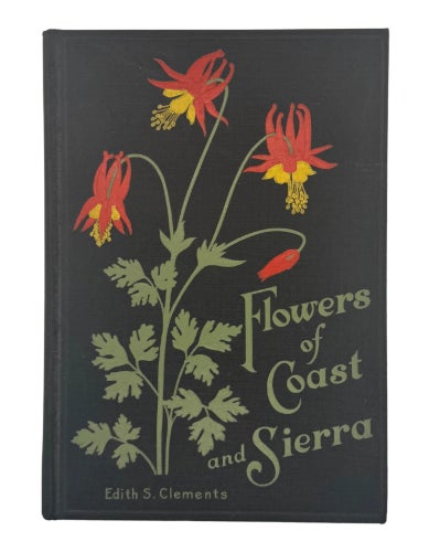 vintage flower illustration book