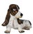 Charming majolica Basset Hound, made in Italy circa 1960/70's. This piece is in excellent, original, clean and ready to...