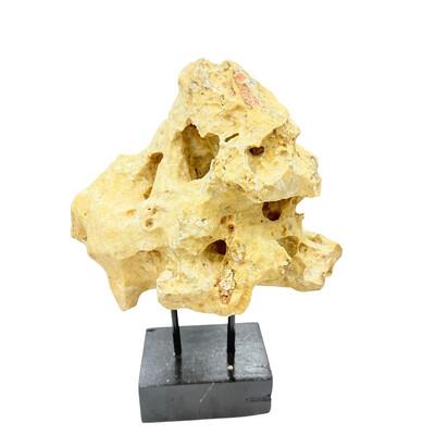 Tribal Indonesian Coral Stone On Teak Stand For Sale - Image 3 of 5