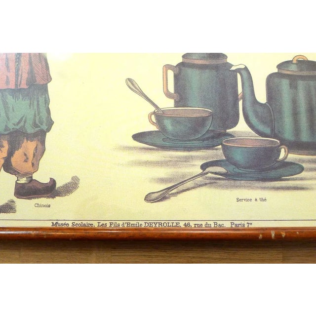 Mid-Century French Educational Poster on Tea For Sale - Image 9 of 10