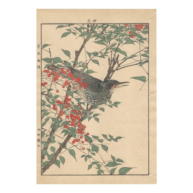 Imao Keinen, Brown-Eared Bulbul, 1892, Print For Sale