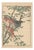 Imao Keinen, Brown-Eared Bulbul, 1892, Print For Sale
