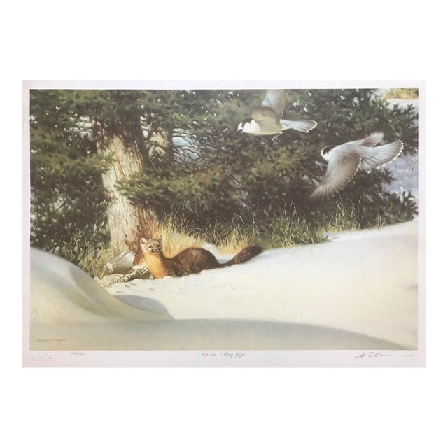 Claudio d'Angelo Marten and Gray Jays Lithograph on Paper For Sale