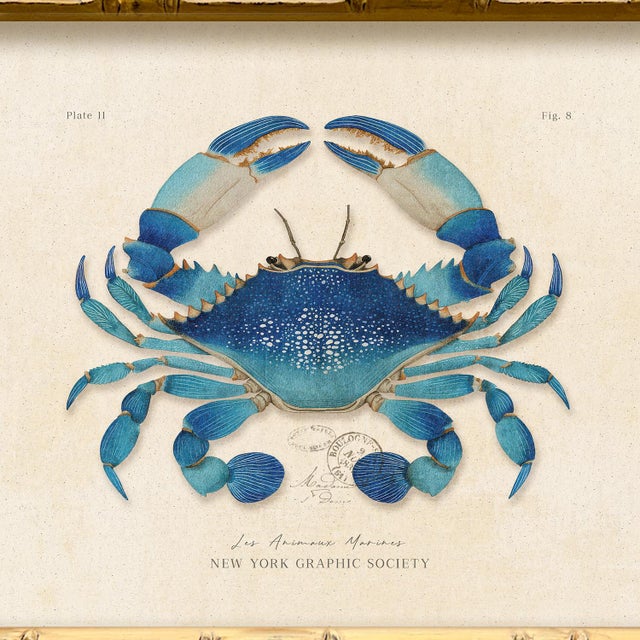 Contemporary Contemporary Reproduction of Vintage "Blue Crab" Giclee Print, Framed For Sale - Image 3 of 4