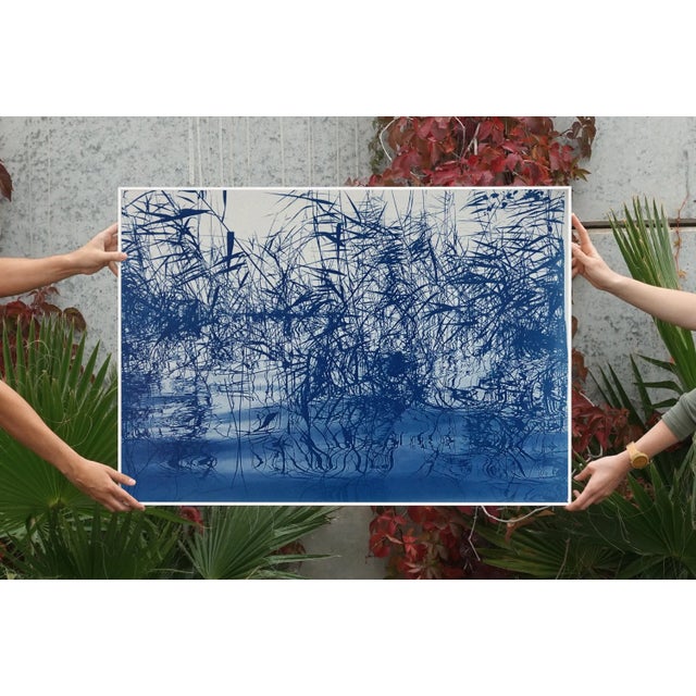 Art Deco Contemporary Cyanotype on Watercolor Paper, "Mystic Louisiana Marsh" For Sale - Image 3 of 11