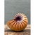 Vintage Handcrafted Wood Nautilus Form For Sale - Image 12 of 12
