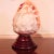 A full Italian conch shell with beautiful orange coloring, carved in cameo with a scene of the harbor of Naples, complete...