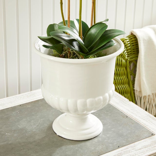 Mirabelle Decorative Pedestal Bowl Small For Sale In Chicago - Image 6 of 8