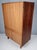 Vintage Wardrobe by Francisek Mezulanik, 1960s For Sale - Image 9 of 12