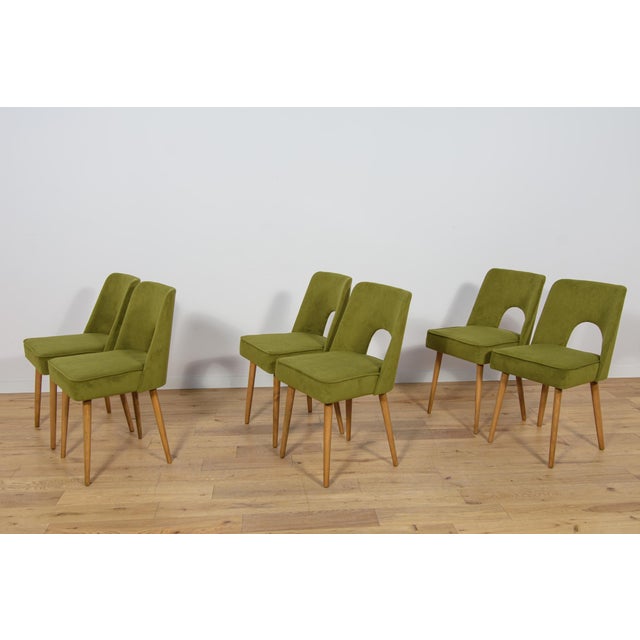 1960s Shell Chairs from Bydgoszcz Furniture Factory, 1960s, Set of 6 For Sale - Image 5 of 18