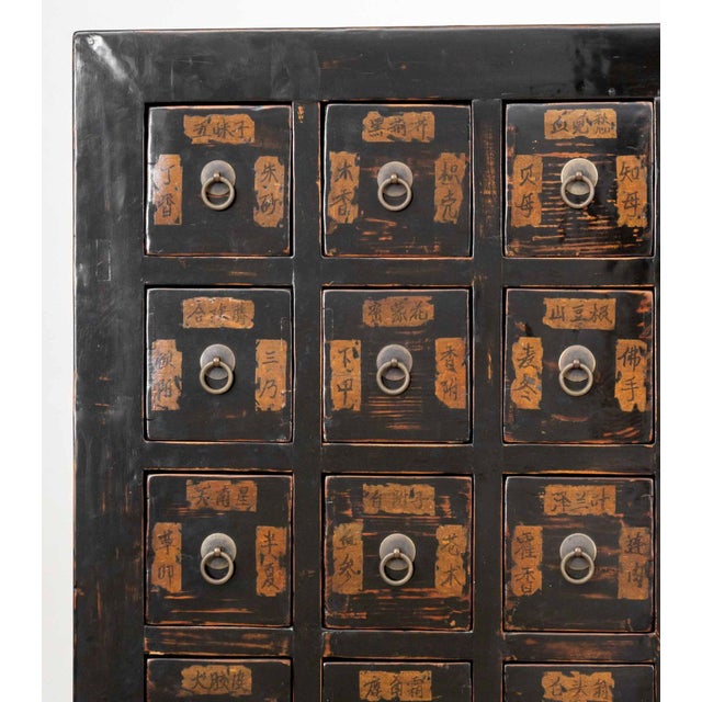 Chinese Chinese Apothecary Cabinet, 19th Century For Sale - Image 3 of 11