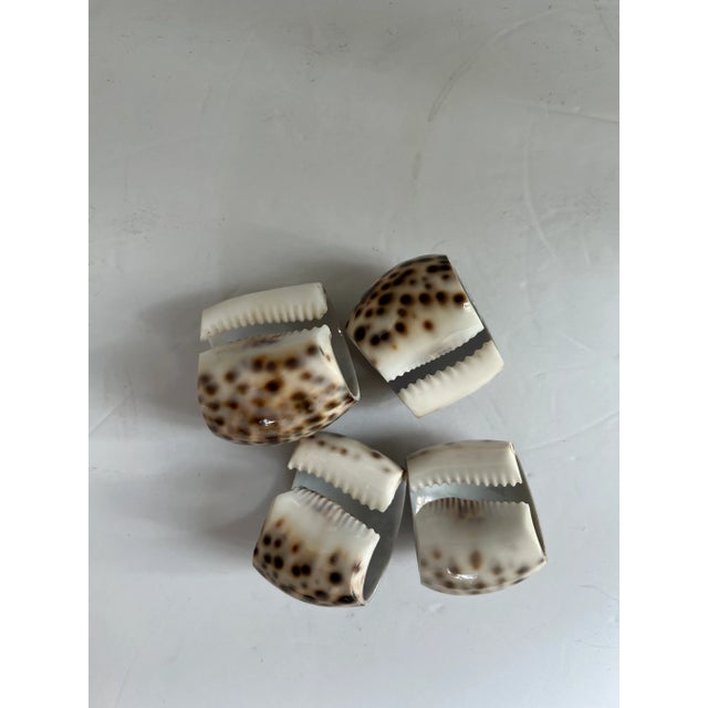 Tiger Shell Napkin Rings-4 For Sale - Image 4 of 5