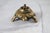 Figurative Vintage Brass Turtle Incense Burner or Trinket Box For Sale - Image 3 of 8