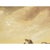 Brown Large Vintage Southwestern Desert Oil Painting | Rustic Wooden Frame For Sale - Image 8 of 14