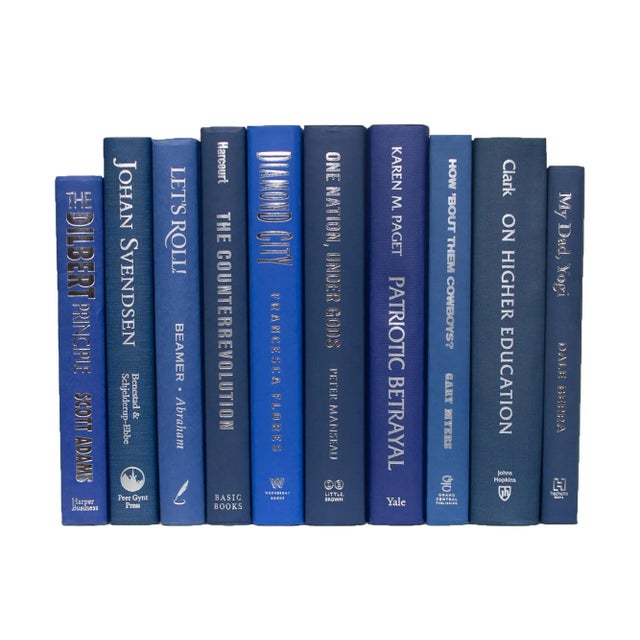 Modern Decorative Books - Denim & Silver Book Bundle - 1 Foot of Blue Books For Sale - Image 3 of 4
