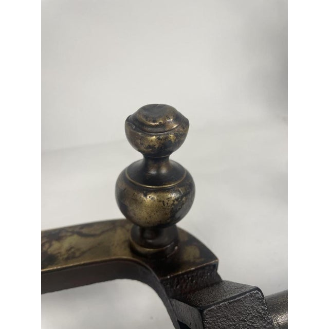 Black Antique Golden Bronze Wing, 1800s For Sale - Image 8 of 17