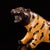 Vintage Cloisonne Enamel Tiger Figure – 12.2" Gilt Striped Beast Sculpture For Sale - Image 9 of 10