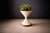 This iconic hourglass planter by Swiss designer Willy Guhl is crafted from durable fiber cement, a material celebrated for...
