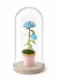 Example of Room Accents & Accessories