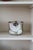 Studio Ceramic Vessel by Henny Waldorff for Svaneke, Bornholm, Denmark, 1960s For Sale - Image 6 of 11