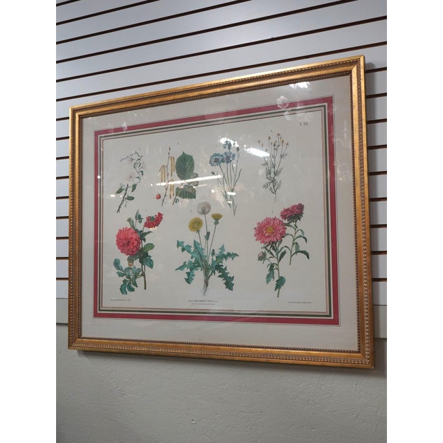Age: Approx. 100 Years Old Details: Vibrant Colors & Details Professionally Framed & Matted Approx 40 Years Ago Rare Large...