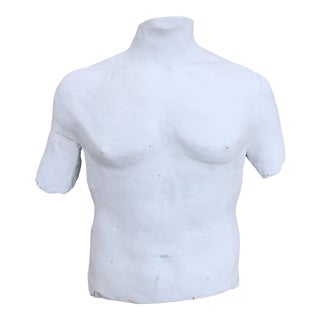 1980s Vintage Hanging Plaster Male Torso For Sale