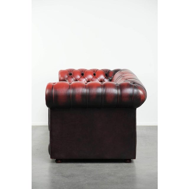 English Chesterfield Sofa in Cow Leather For Sale - Image 4 of 16