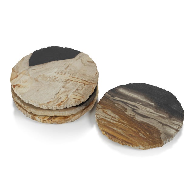 Plover 4" Petrified Wood Coasters, Set of 4 For Sale - Image 4 of 4