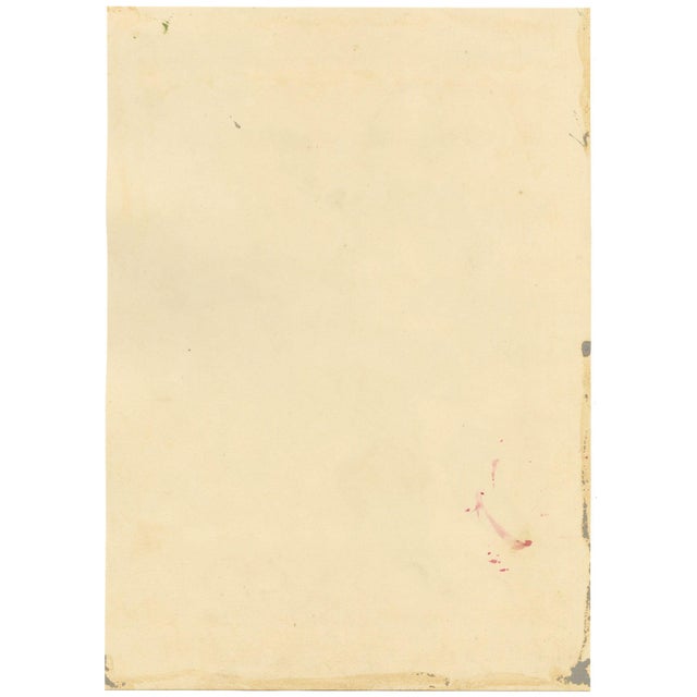E.B.R., Pink and White Tree Mallow (Lavatera) Flower, 1800s, Watercolour For Sale - Image 5 of 7