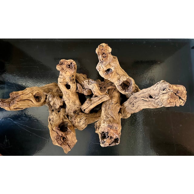 Contemporary Organic Sculptural Grapevine Root Coffee Table, Studio Craft, Glass Top For Sale - Image 3 of 9