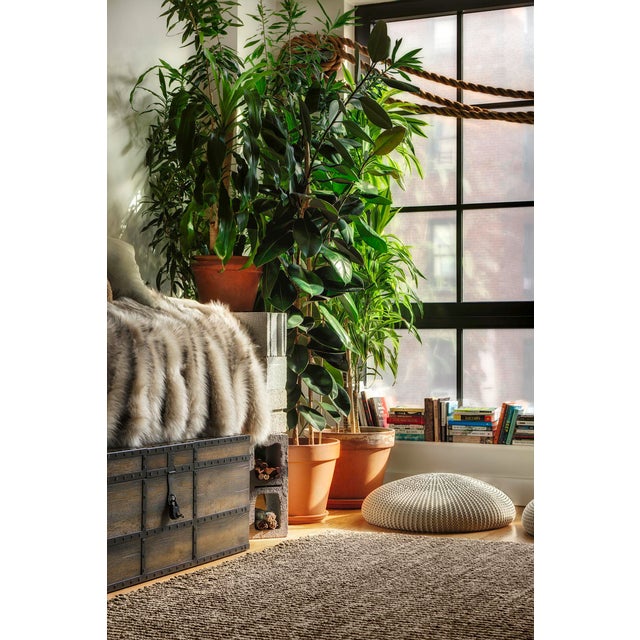 Horchow Rustic Mocha Oak Trunk Coffee Table For Sale - Image 12 of 13