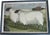 1990s Custom Framed Hand-Embroidered English Country Needlepoints – Set of Four For Sale - Image 5 of 18