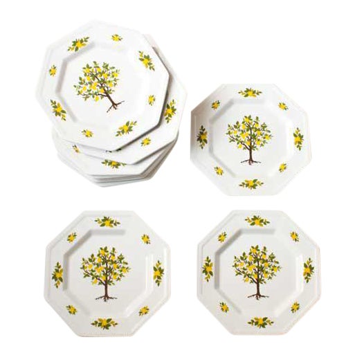 Lemon Tree Dessert Plates Set of 12 Chairish