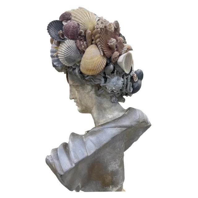 Vintage Roman Shell-Covered Head Plaster Bust | Chairish