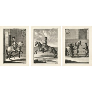 Gaspar Fróis Machado, Equestrian Training Horsemanship, 1790, Engraving, Set of 3 For Sale