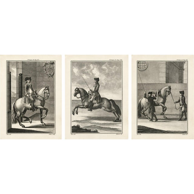 Gaspar Fróis Machado, Equestrian Training Horsemanship, 1790, Engraving, Set of 3 For Sale