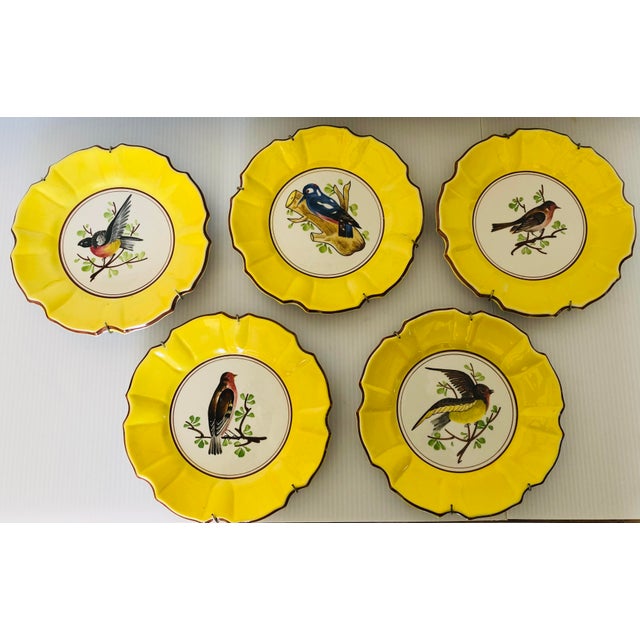 Vintage Italian Majolica Collection of Bird Plates Set of 5 Chairish