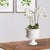 Kenneth Ludwig Chicago Mirabelle Decorative Pedestal Bowl Large For Sale - Image 4 of 8