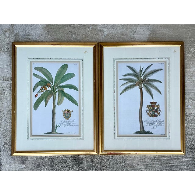 White Vintage Crested Palm Etchings - A Pair For Sale - Image 8 of 12