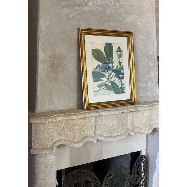 Mid-Century Modern John A. Ruthven "Bluejay" Lithograph- Signed For Sale - Image 3 of 13