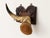 Mid 20th Century Rare Folk Art Horn Wall Key Hook on Wood Plaque For Sale - Image 4 of 9