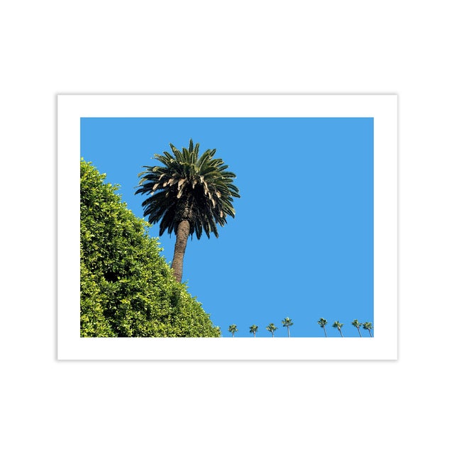 Photographic print by Brooklyn based photographer Niqui Carter. Open edition digital C-print on archival photo paper which...