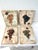 Vintage set of four old world design stretch canvas on wood prints each depicting a different grape cluster. Excellent...