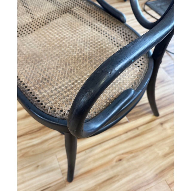 Vintage Bentwood Bench With Caned Seat For Sale - Image 13 of 15