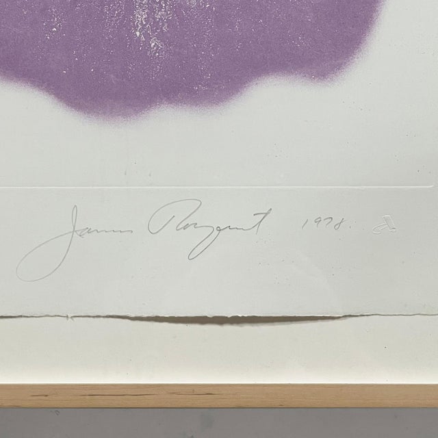 Wood 1970s Abstract "Pyramid Between Two Dry Lakes" Print by James Rosenquist For Sale - Image 7 of 10