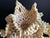 Vintage South Pacific Cowrie Shell Vase For Sale In Washington DC - Image 6 of 12