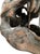 Late 20th Century Tyrannosaurus Rex Skull Sculpture For Sale - Image 12 of 13