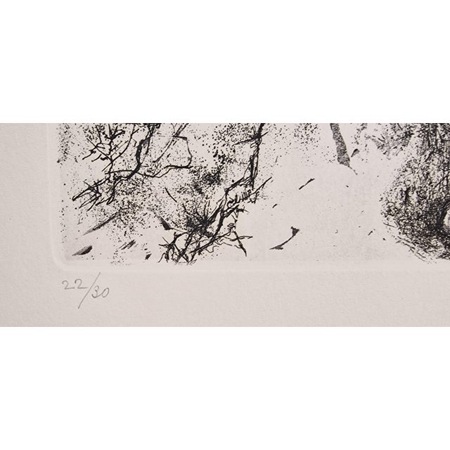 1970s Valeria Vecchia, Triptych, 1970s, Engravings, Set of 3 For Sale - Image 5 of 16