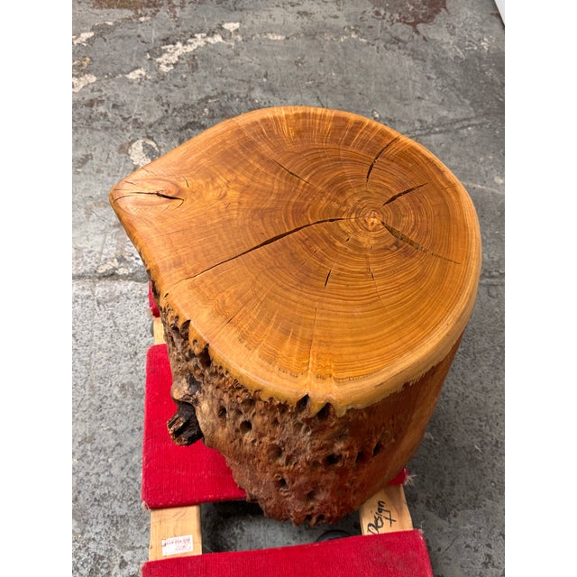 2010s Organic Modern Live Edge Tree Side Table/ Stool For Sale - Image 5 of 12